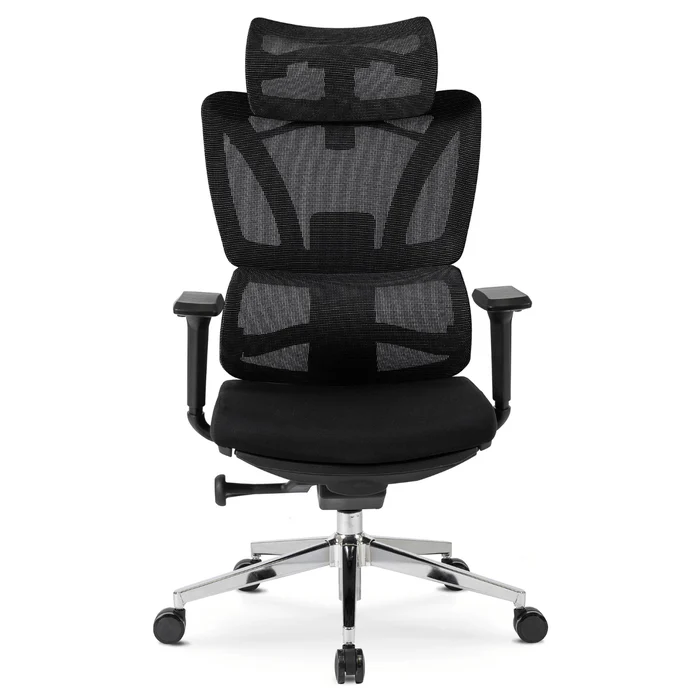 Fotel Biurowy Ergonomiczny Obrotowy z Podnóżkiem DELSIN Czarny